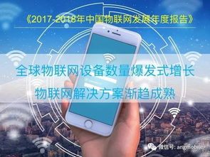 2018中國物聯(lián)網(wǎng)（IoT）報告 網(wǎng)絡信息技術開發(fā)進展與趨勢